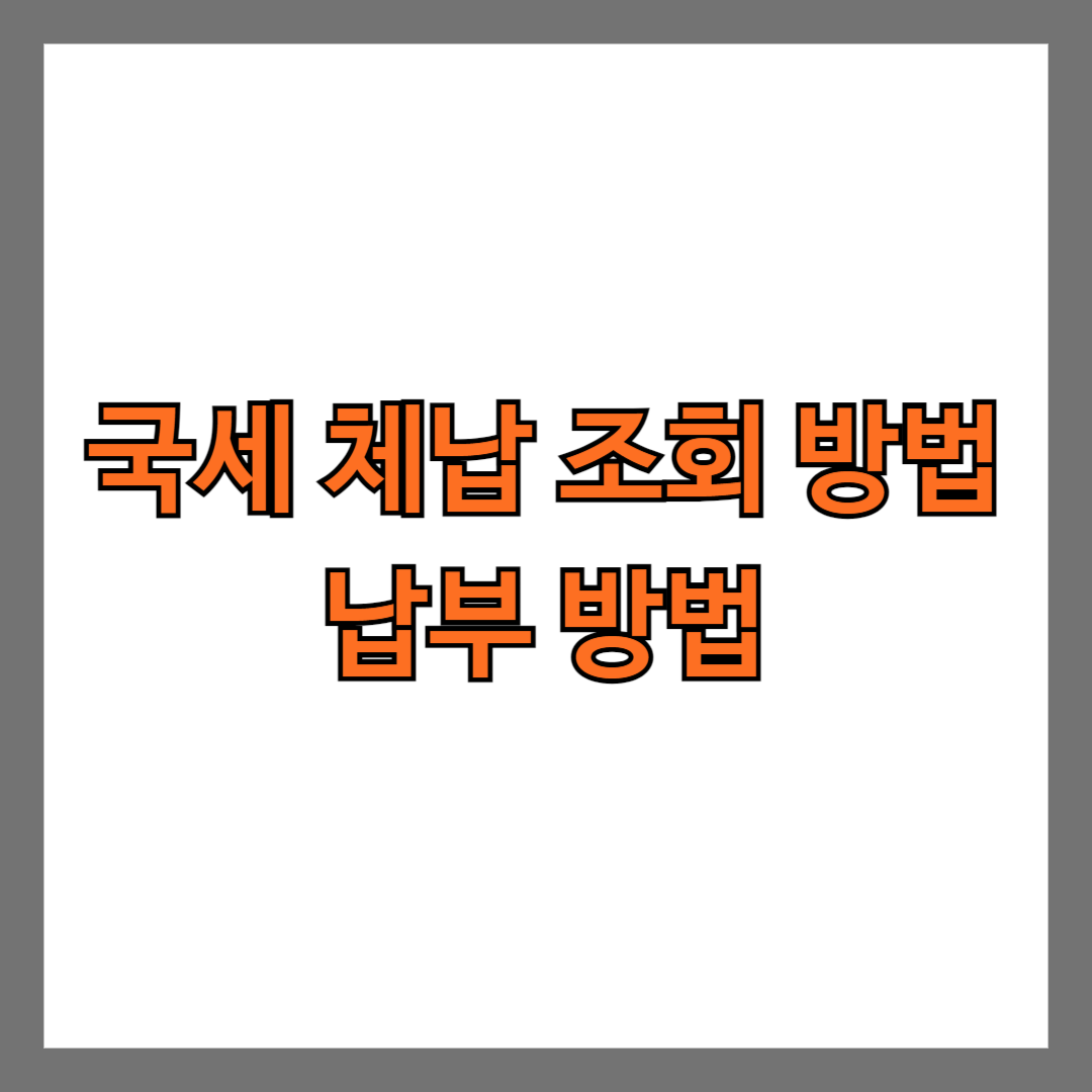 국세 체납 조회 방법 납부 방법