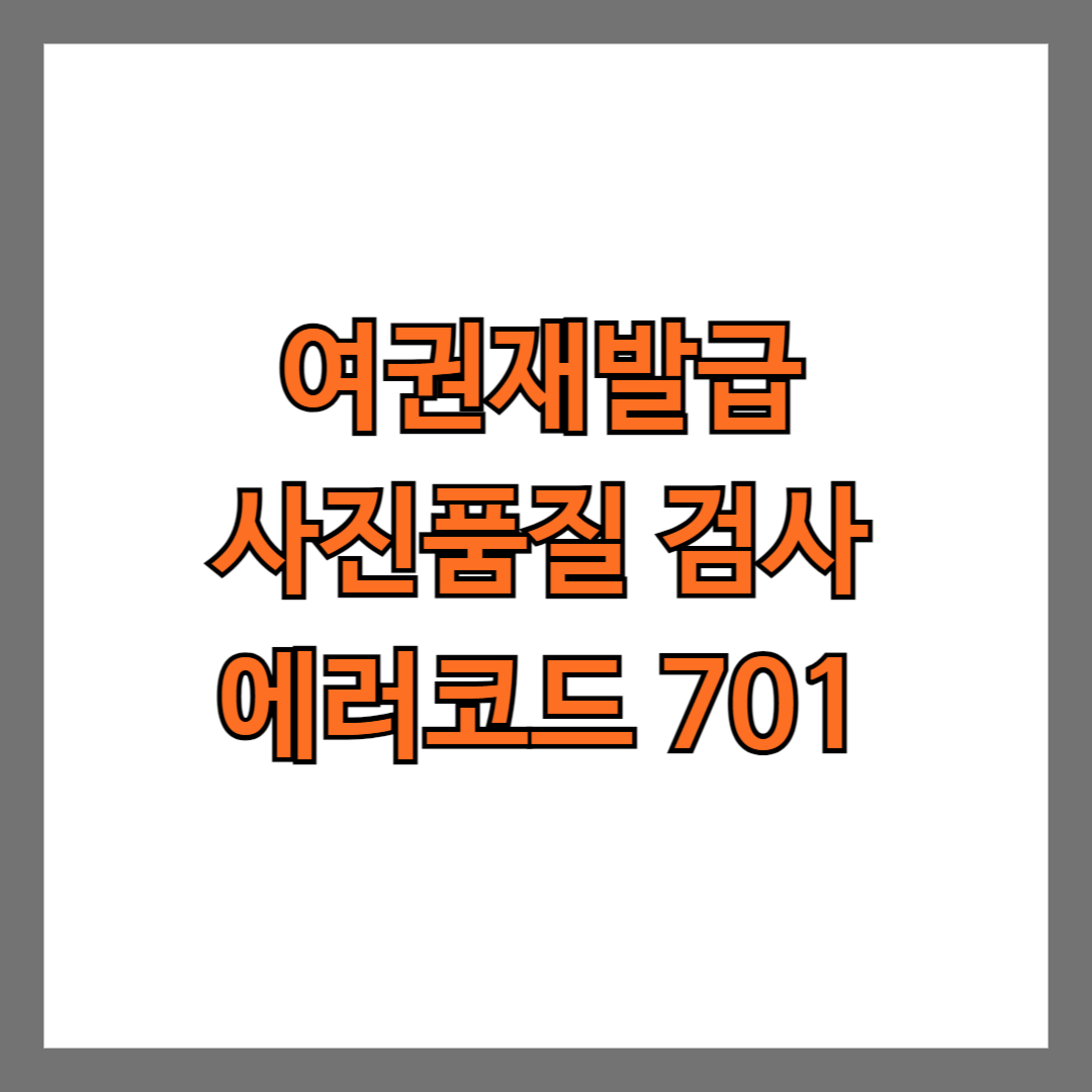 정부24 여권재발급 사진품질 검사 에러코드 701