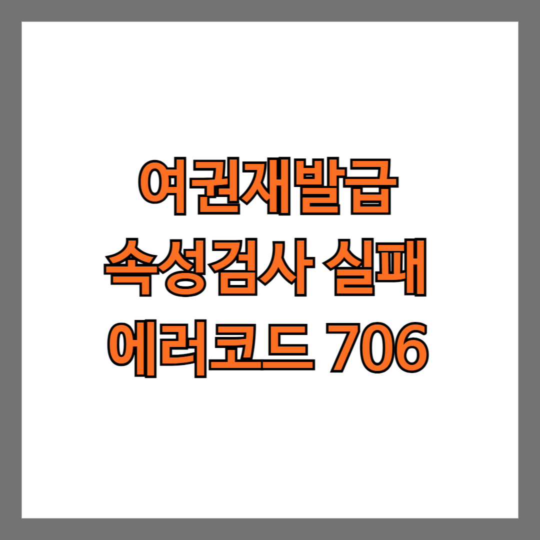 정부24 여권재발급 속성검사 실패(에러코드 706)