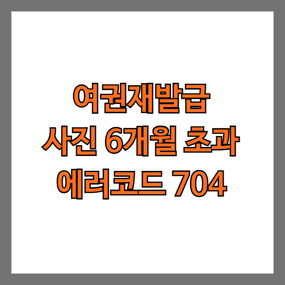 정부24 여권재발급 사진 6개월 초과(에러코드 704)