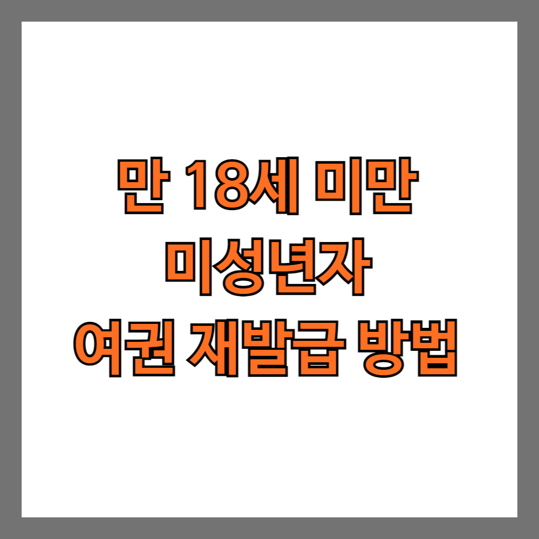 만 18세 미만 미성년자 여권 재발급 방법