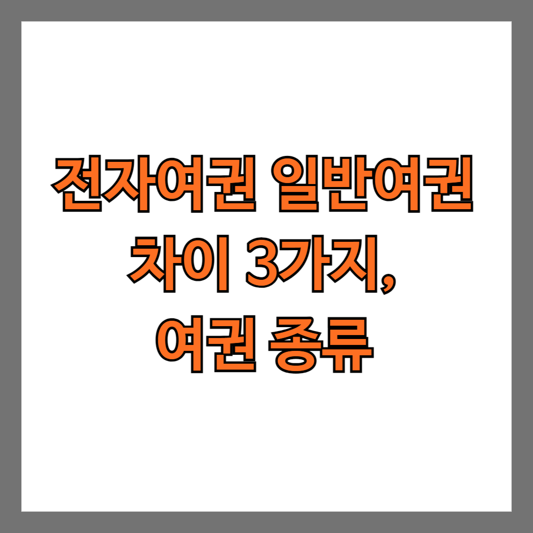 전자여권 일반여권 차이 3가지, 여권 종류