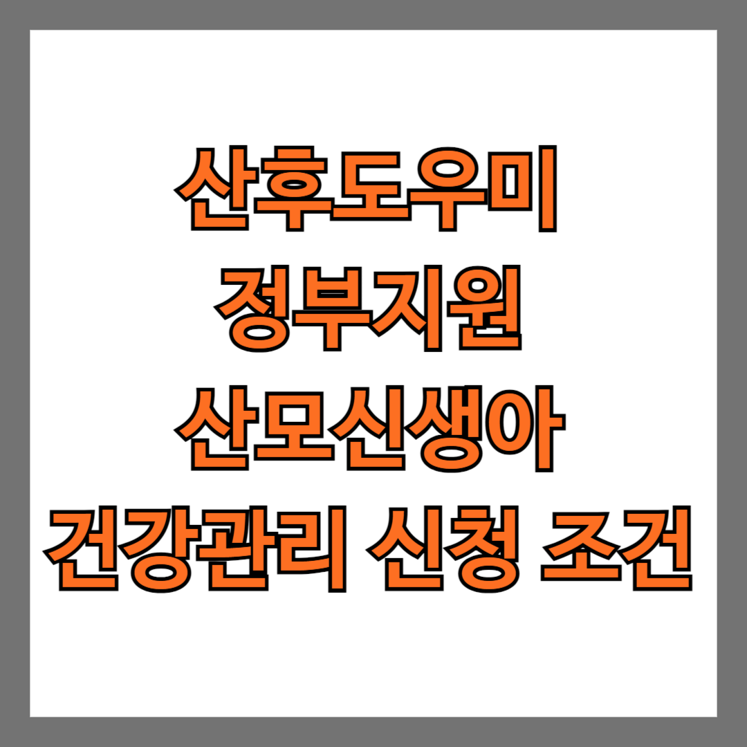 산후도우미 정부지원 산모신생아 건강관리 신청 조건