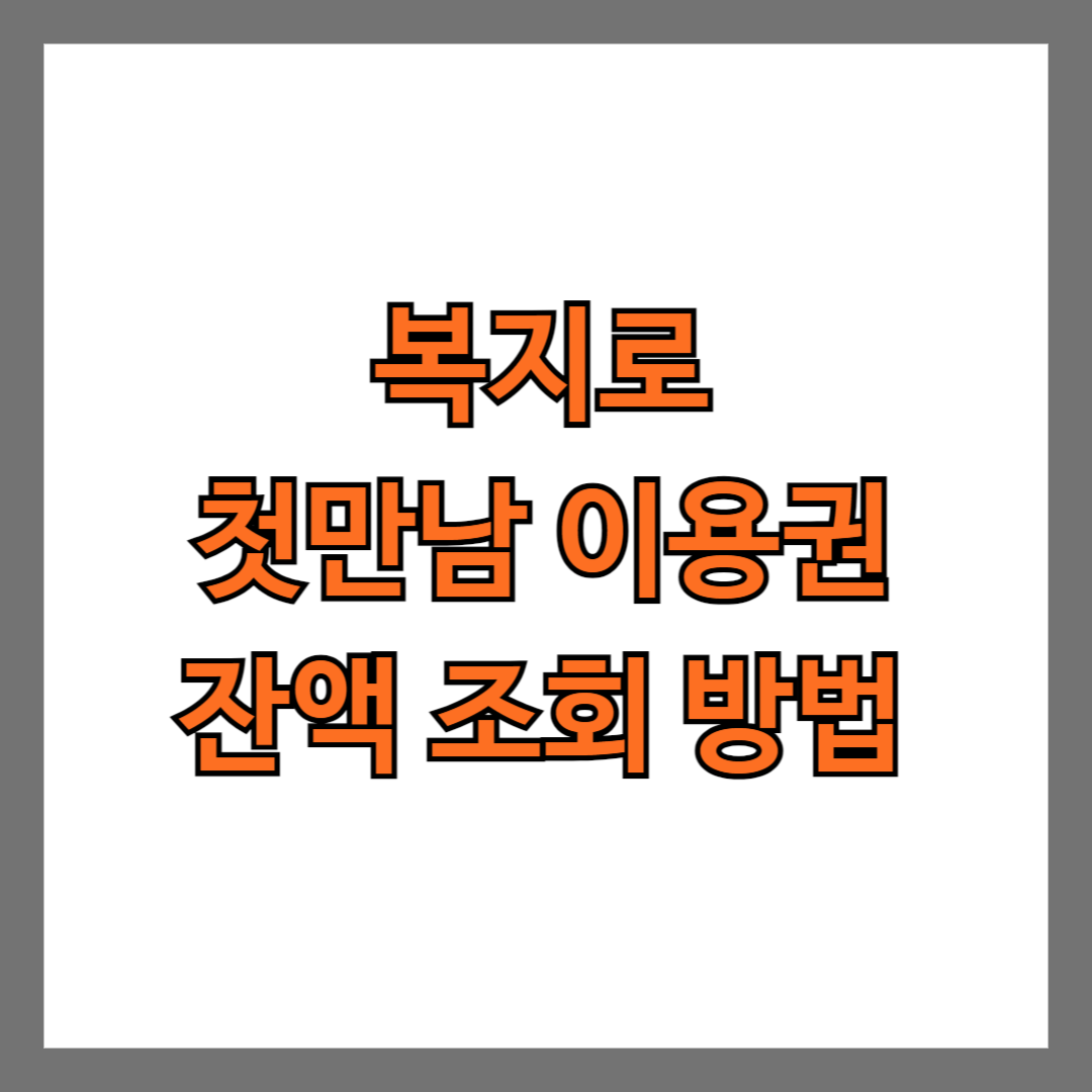 복지로 첫만남 이용권 잔액 조회 방법