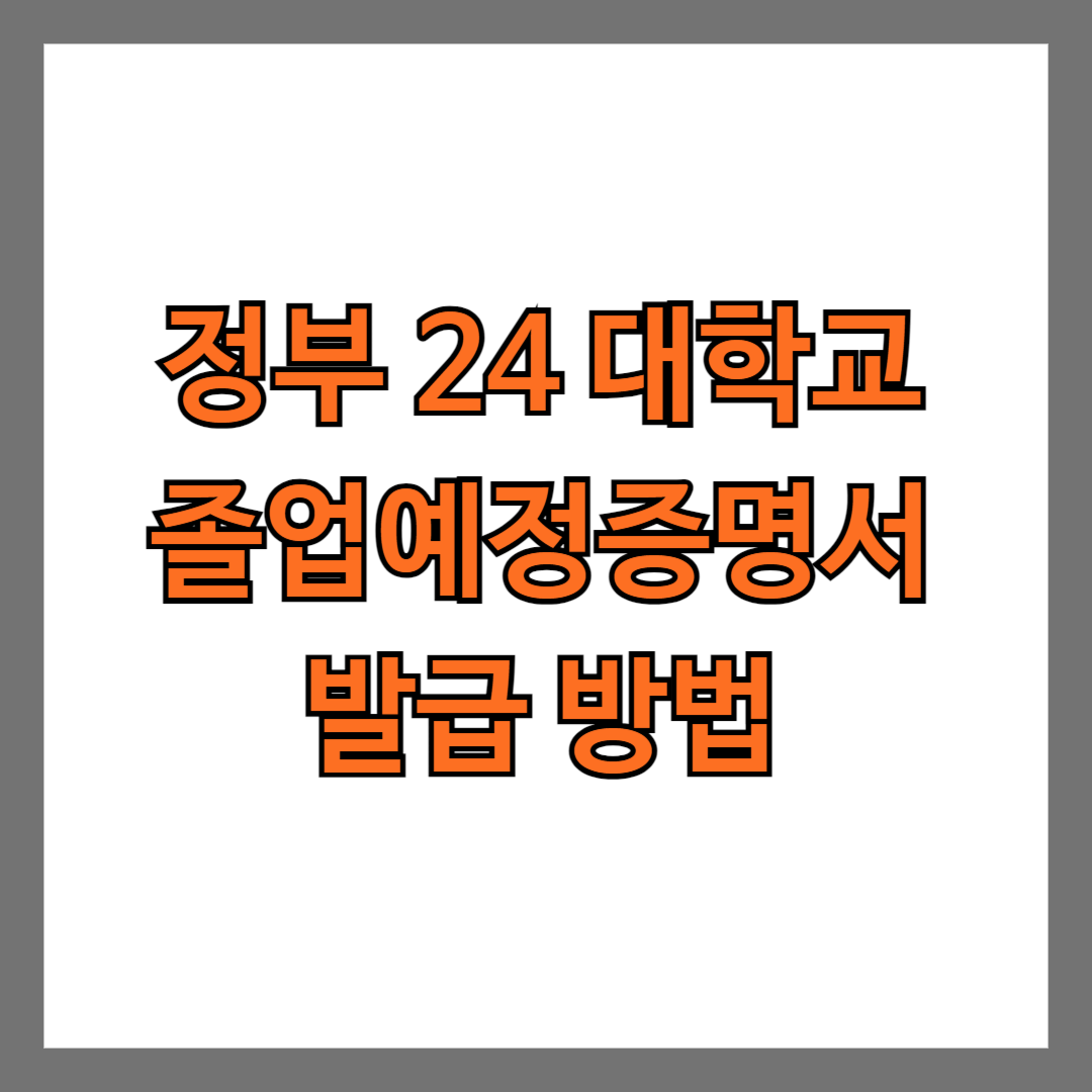 정부 24 대학교 졸업예정증명서 발급 방법