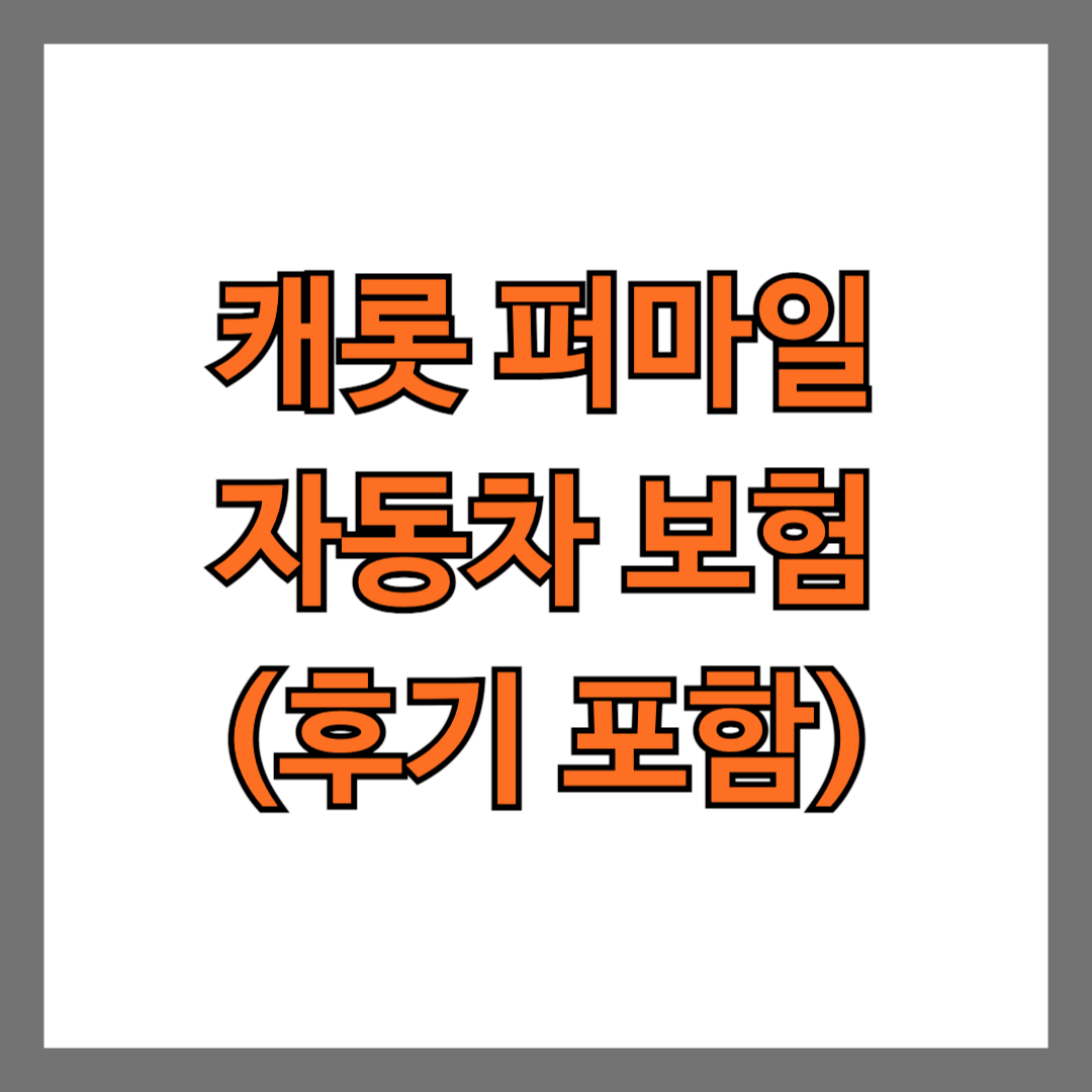 캐롯 퍼마일 자동차 보험 후기 포함