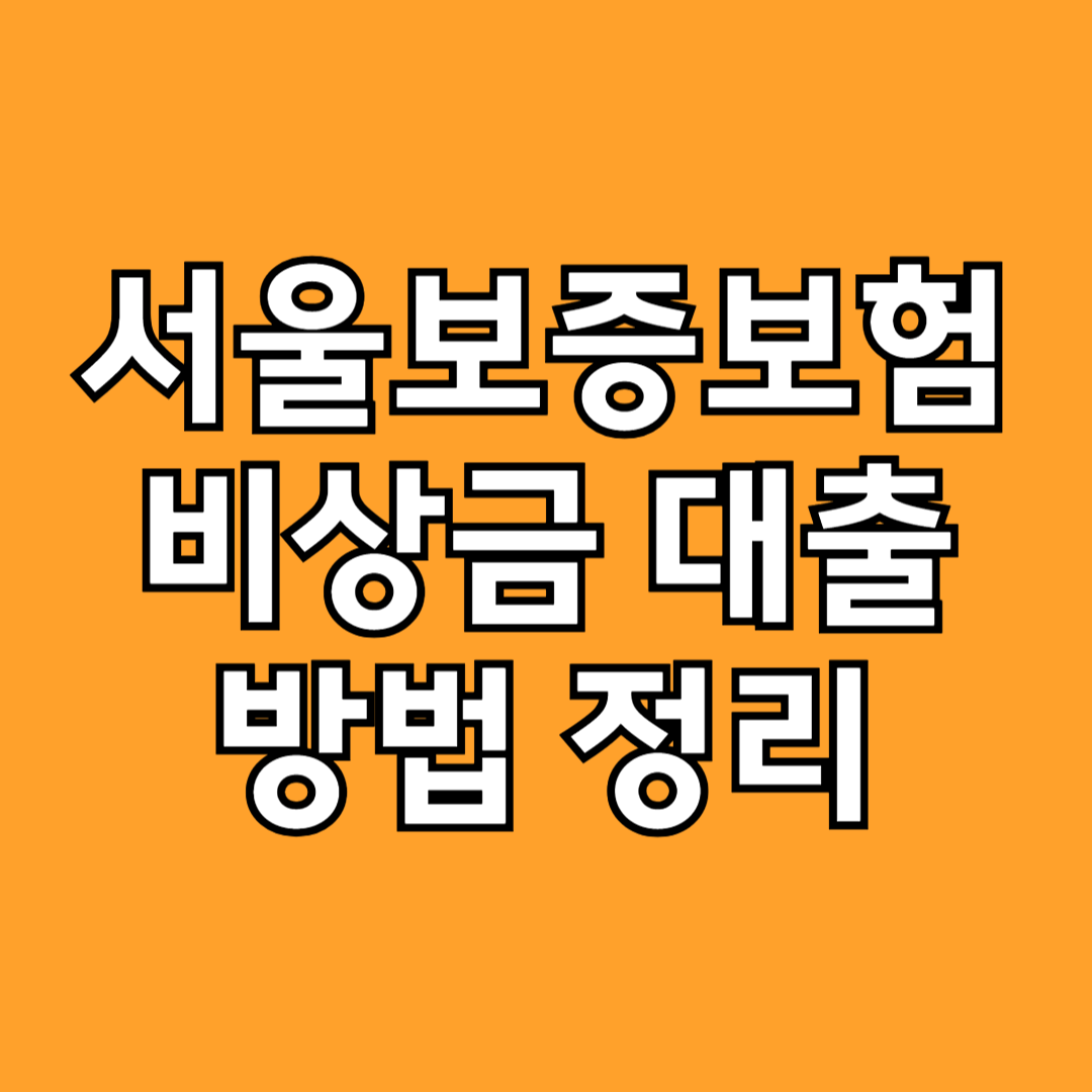 서울보증보험 비상금 대출 방법 정리