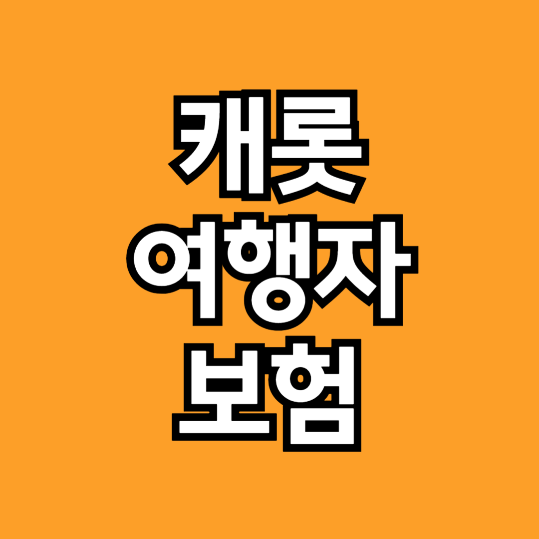 캐롯여행자 보험