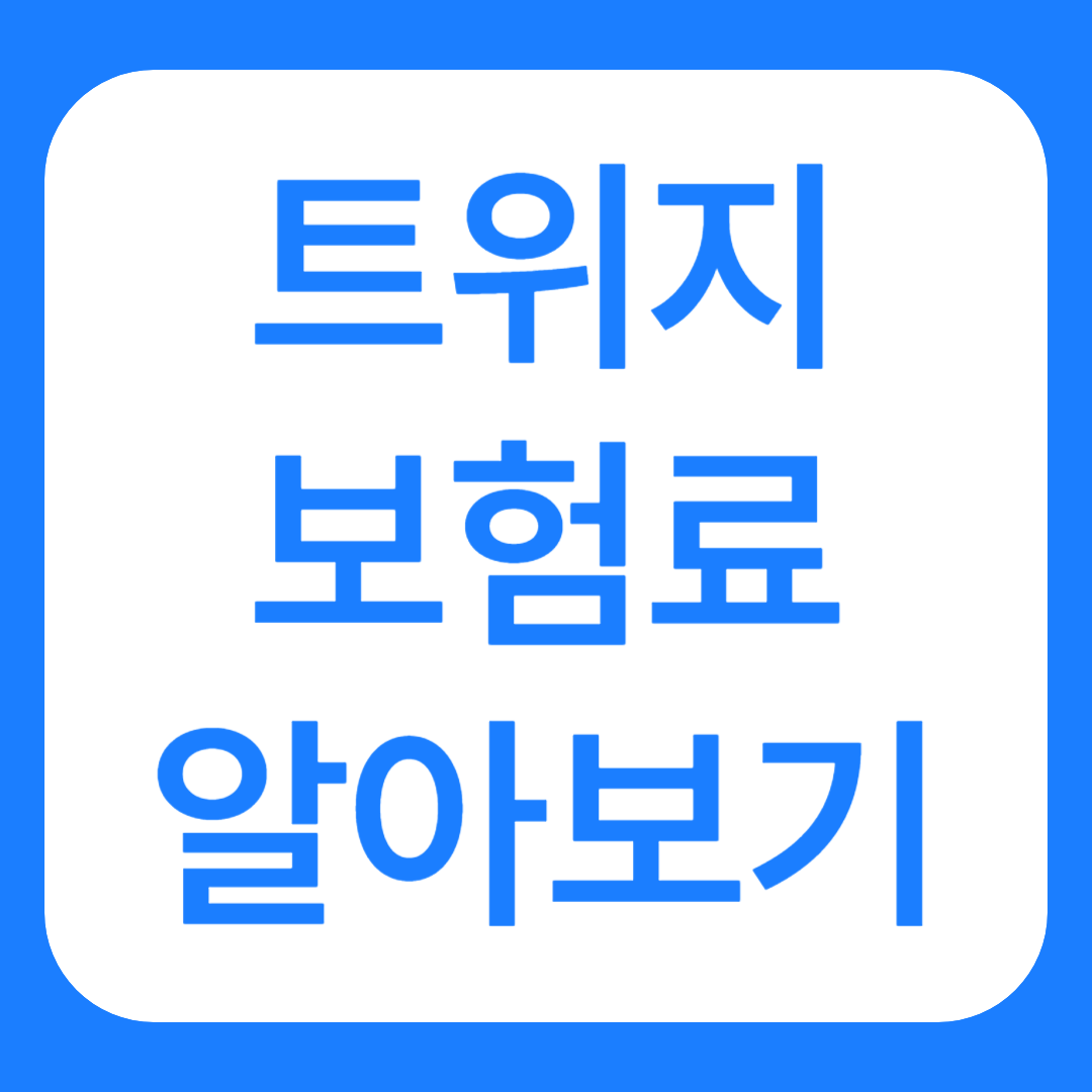 트위지 보험료