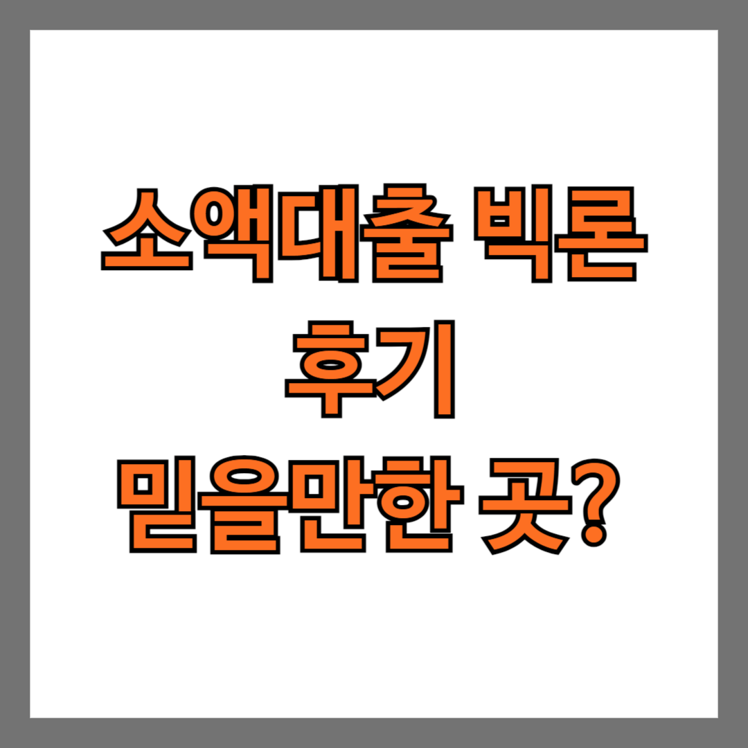 소액대출 빅론 후기