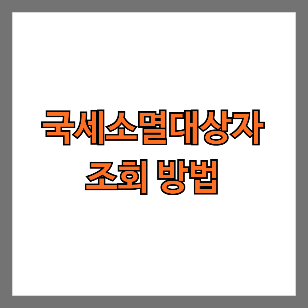 국세소멸대상자 조회 방법 국세24