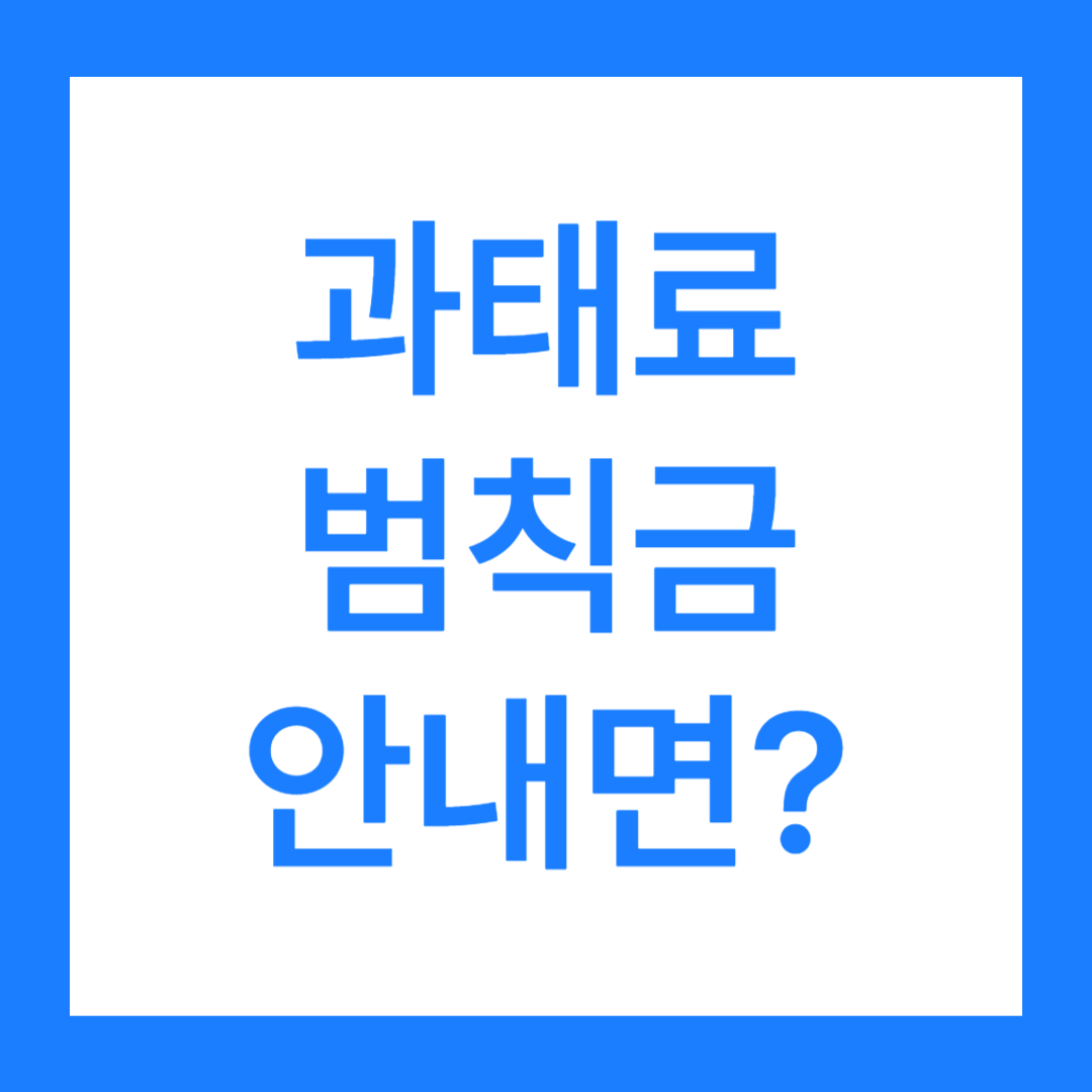 과태료 안내면 어떻게 될까요? 범칙금 안내면 이렇게 됩니다! 2가지 차이는?