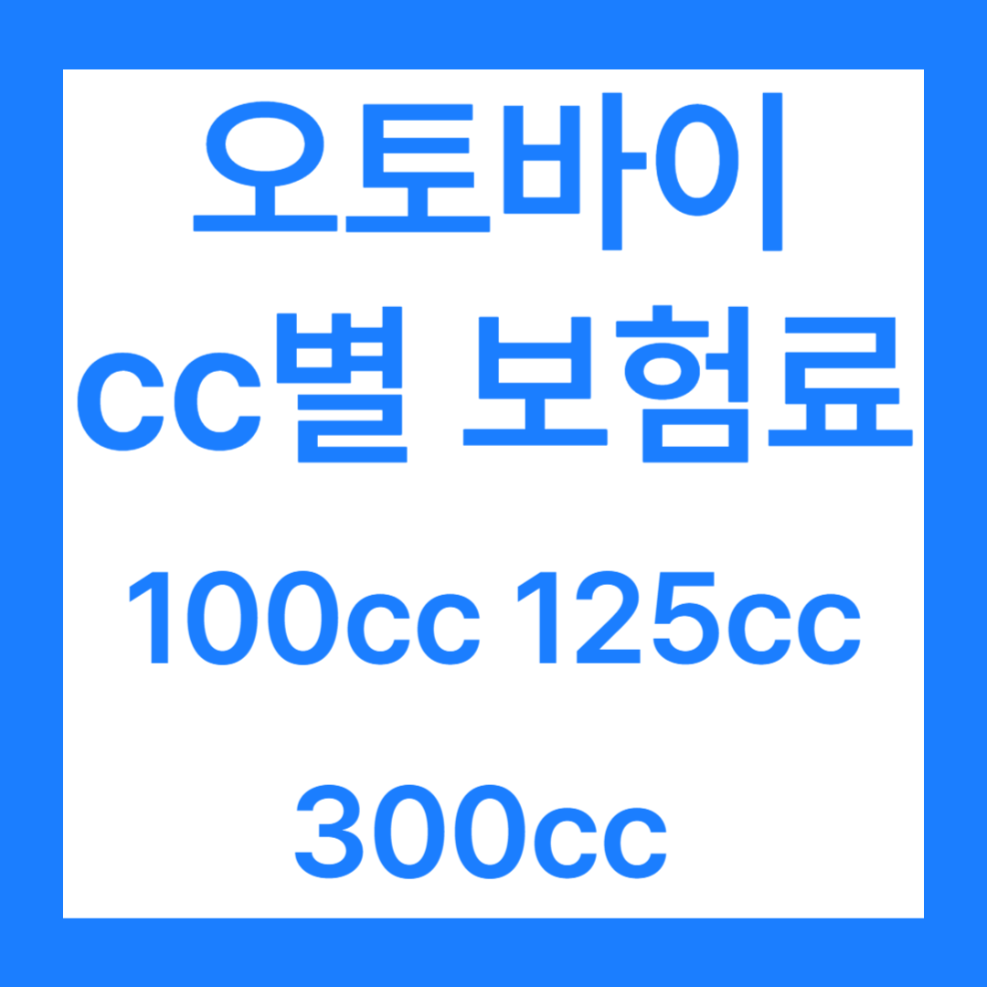 오토바이 cc별 보험료 100cc 125cc 300cc 확인하기