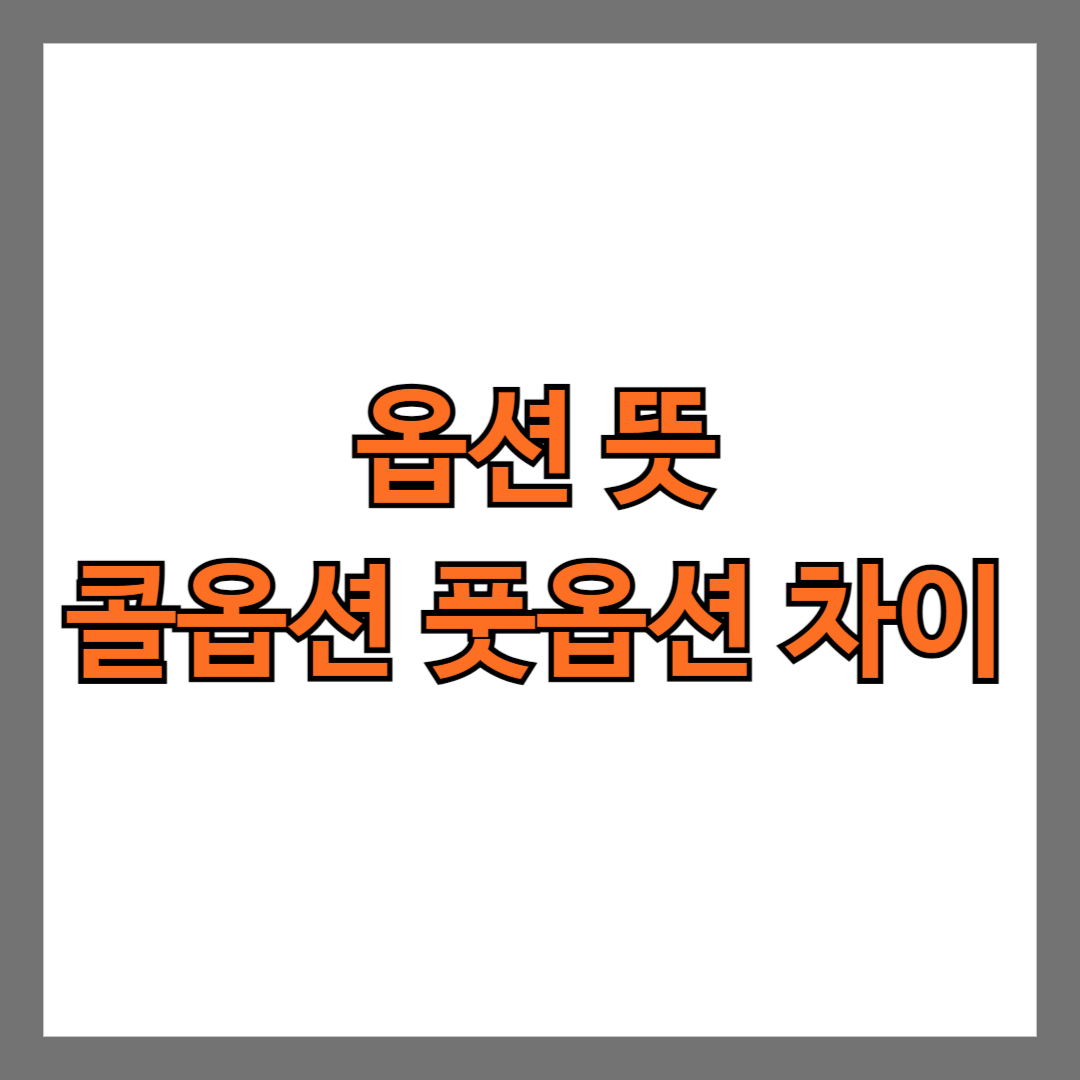 옵션 뜻 콜옵션 풋옵션 차이