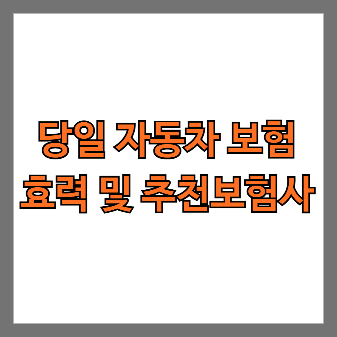 당일 자동차보험 효력 및 추천 보험사