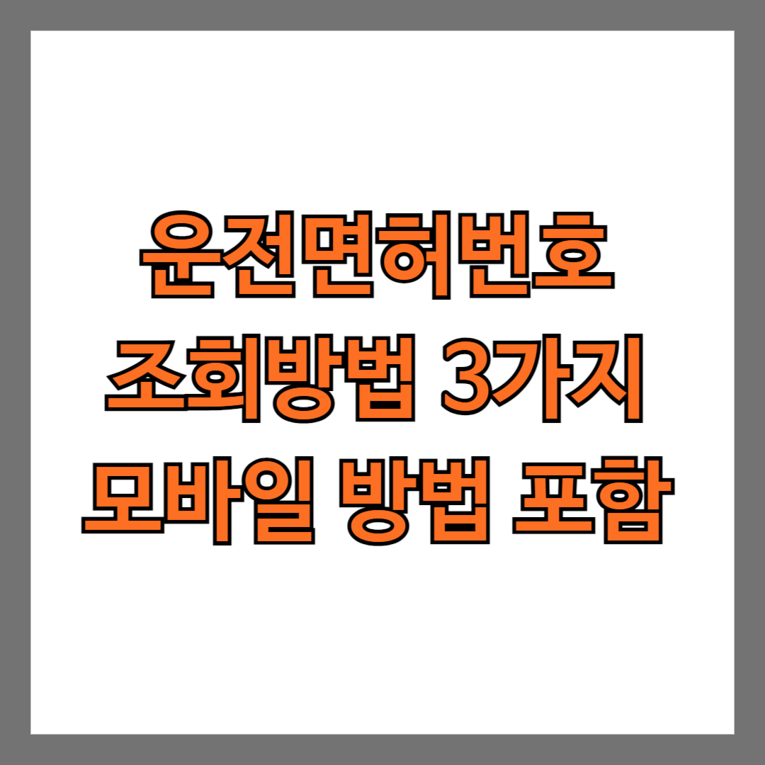 운전면허번호 조회방법 3가지 모바일 방법 포함