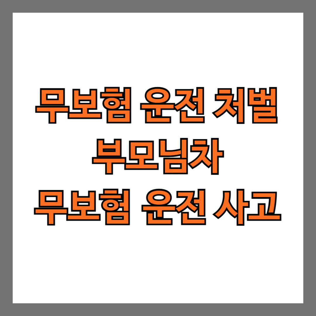 무보험 운전 처벌 부모님차 무보험 운전 사고